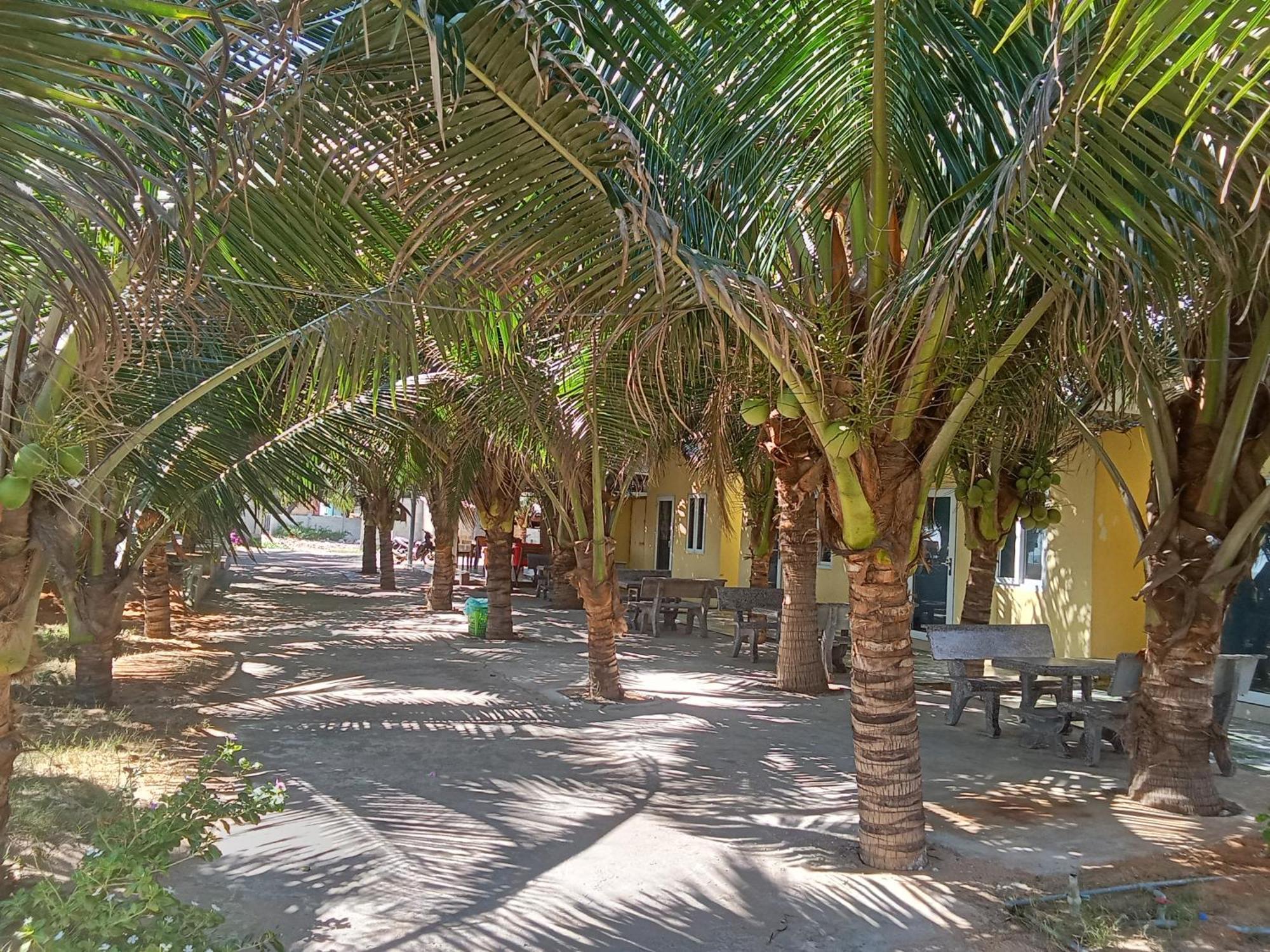 Bien Ngoc Homstay Phan Thiet Dış mekan fotoğraf